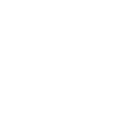 YouTube icon